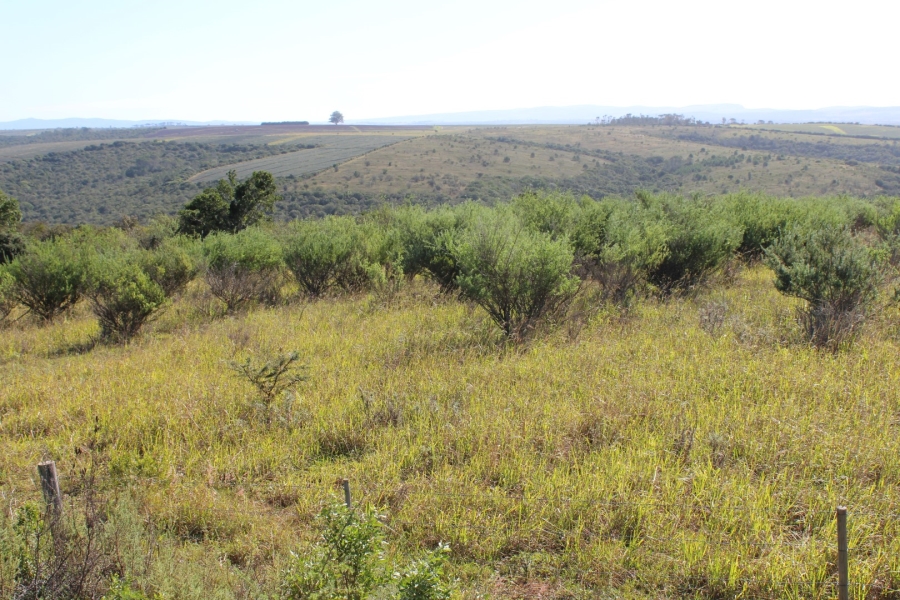 3 Bedroom Property for Sale in Bathurst Eastern Cape